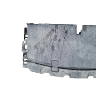 2015-2016 Lexus RC350 Front Lower Radiator Support Cover 53289-24010, F007, OEM, 2015, 2016