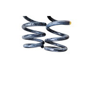 2015-2021 Lexus RC350 Rear Shock Spring Coil Set 48231-24310, F007, OEM, 2015, 2016, 2017, 2018, 2019, 2020, 2021