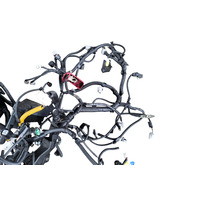 2006-2008 Lexus RX400h Fuse Box Engine Wire Harness, 82111-48D01, F009, OEM, 2006, 2007, 2008