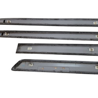 2006-2008 Lexus RX400h Door Molding Trim Front/Rear Right/left, 75076-48020-G0, F009, OEM, 2006, 2007, 2008