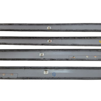 2006-2008 Lexus RX400h Door Molding Trim Front/Rear Right/left, 75076-48020-G0, F009, OEM, 2006, 2007, 2008