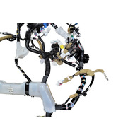 2006-2008 Lexus RX400h Instrumental Dashboard Board Panel Wire Harness, 82142-48071, F009, OEM, 2006, 2007, 2008