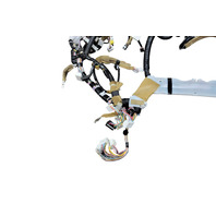 2006-2008 Lexus RX400h Instrumental Dashboard Board Panel Wire Harness, 82142-48071, F009, OEM, 2006, 2007, 2008