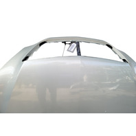 Lexus RX400h 06-08 Hood Bonnet Assembly, Bamboo Pearl, 53301-0E020, F009, OEM, 2006, 2007, 2008