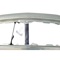 Lexus RX400h 06-08 Hood Bonnet Assembly, Bamboo Pearl, 53301-0E020, F009, OEM, 2006, 2007, 2008
