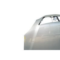 Lexus RX400h 06-08 Hood Bonnet Assembly, Bamboo Pearl, 53301-0E020, F009, OEM, 2006, 2007, 2008