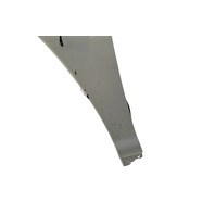 Lexus RX400h 06-08 Fender Panel Assy. Left/Driver Bamboo Pearl, 53802-0E010, F009, OEM, 2006, 2007, 2008