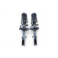 Lexus ES300h 13-16 Rear Right/Left Side Strut Assembly Shock Absorber Set, 48530-80641, F010, 2013, 2014, 2015, 2016
