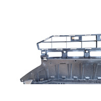 2010-2012 Honda Crosstour Front Bumper Cover Lower Grille Garnish 71110-TP6-A00, F011, OEM, 2010, 2011, 2012