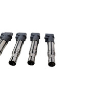 2004-2018 Porsche Cayenne 958 Ignition Igniter Coil Set(6) 3.6L PAB-905-715, F012, OEM, 2004, 2005, 2006, 2007, 2008, 2009, 2010, 2011, 2012, 2013, 2014, 2015, 2016, 2017, 2018