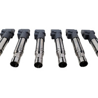 2004-2018 Porsche Cayenne 958 Ignition Igniter Coil Set(6) 3.6L PAB-905-715, F012, OEM, 2004, 2005, 2006, 2007, 2008, 2009, 2010, 2011, 2012, 2013, 2014, 2015, 2016, 2017, 2018