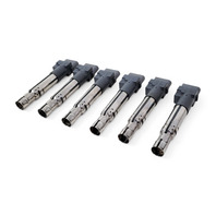 2004-2018 Porsche Cayenne 958 Ignition Igniter Coil Set(6) 3.6L PAB-905-715, F012, OEM, 2004, 2005, 2006, 2007, 2008, 2009, 2010, 2011, 2012, 2013, 2014, 2015, 2016, 2017, 2018