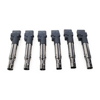 2004-2018 Porsche Cayenne 958 Ignition Igniter Coil Set(6) 3.6L PAB-905-715, F012, OEM, 2004, 2005, 2006, 2007, 2008, 2009, 2010, 2011, 2012, 2013, 2014, 2015, 2016, 2017, 2018