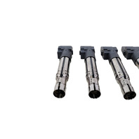 2004-2018 Porsche Cayenne 958 Ignition Igniter Coil Set(6) 3.6L PAB-905-715, F012, OEM, 2004, 2005, 2006, 2007, 2008, 2009, 2010, 2011, 2012, 2013, 2014, 2015, 2016, 2017, 2018