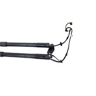 2011-2014 Porsche Cayenne 958 Left & Right Trunk Lid Shock Lift Support Strut, F012, OEM, 2011, 2012, 2013, 2014