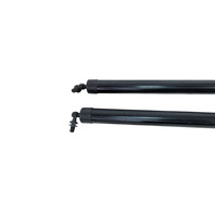 2011-2014 Porsche Cayenne 958 Left & Right Trunk Lid Shock Lift Support Strut, F012, OEM, 2011, 2012, 2013, 2014