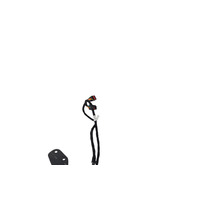 2011-2014 Porsche Cayenne 958 Left & Right Trunk Lid Shock Lift Support Strut, F012, OEM, 2011, 2012, 2013, 2014