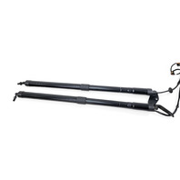 2011-2014 Porsche Cayenne 958 Left & Right Trunk Lid Shock Lift Support Strut, F012, OEM, 2011, 2012, 2013, 2014