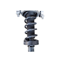 2011-2018 Porsche Cayenne 958 Rear Shock Strut Strut w/Spring Left/Driver, 958-513-029-G, F012, OEM, 2011, 2012, 2013, 2014, 2015, 2016, 2017, 2018