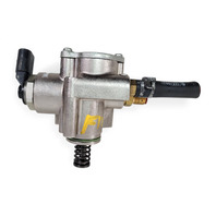 2011-2018 Porsche Cayenne High Pressure Fuel Pump Assembly Direct Injection, 958-110-316-03, F012, OEM, 2011, 2012, 2013, 2014, 2015, 2016, 2017, 2018