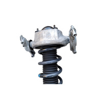 2011-2018 Porsche Cayenne 958 Rear Shock Strut Strut w/Spring Right/Passenger, 958-513-029-G, F012, OEM, 2011, 2012, 2013, 2014, 2015, 2016, 2017, 2018