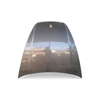 2011-2014 Porsche Cayenne 958 Hood Engine Beige, 958-511-011-06-GRV, F012, OEM, 2011, 2012, 2013, 2014