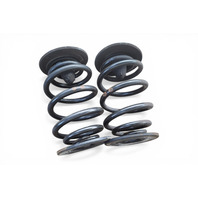 1996-2002 BMW Z3 Rear Coil Springs Set (2), 33-53-9-070-129, F014, OEM, 1996, 1997, 1998, 1999, 2000, 2001, 2002