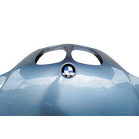 1996-2002 BMW Z3 Engine Hood Assembly Silver, 41-61-0-306-991, F014, OEM, 1996, 1997, 1998, 1999, 2000, 2001, 2002