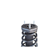 2007-2012 Lexus ES350 Rear Right/Passenger Side Strut Assembly Shock Absorber 48530-80498, F016, OEM, 2007, 2008, 2009, 2010, 2011, 2012