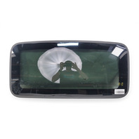 2006-2014 Honda Ridgeline Sunroof Glass Sun Roof, 70200-SJC-A02, F017, OEM, 2006, 2007, 2008, 2009, 2010, 2011, 2012, 2013, 2014
