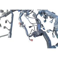 2006-2008 Honda Ridgeline Engine Wire Harness, 32110-RJE-A52, F017, OEM, 2006, 2007, 2008