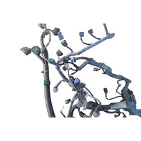 2006-2008 Honda Ridgeline Engine Wire Harness, 32110-RJE-A52, F017, OEM, 2006, 2007, 2008