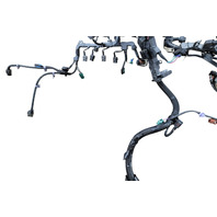 2017-2019 Honda Ridgeline Engine Wire Harness, 32110-RLV-A51, F018, OEM, 2017, 2018, 2019