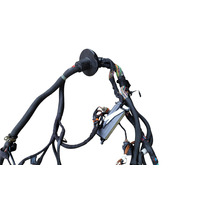 2001-2004 Porsche Boxster 986 Engine Wire Harness, F019, OEM, 2001, 2002, 2003, 2004