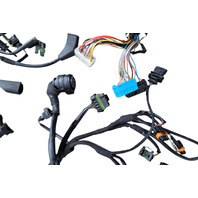 2001-2004 Porsche Boxster 986 Engine Wire Harness, F019, OEM, 2001, 2002, 2003, 2004