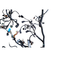 2001-2004 Porsche Boxster 986 Engine Wire Harness, F019, OEM, 2001, 2002, 2003, 2004