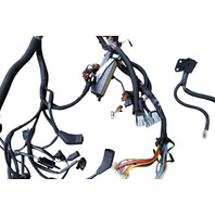 2001-2004 Porsche Boxster 986 Engine Wire Harness, F019, OEM, 2001, 2002, 2003, 2004