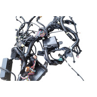 2011-2012 Nissan Leaf Engine Wire Harness, 24012-3NA2A, F020, OEM, 2011, 2012