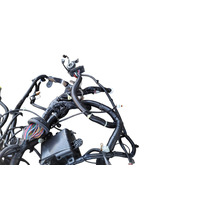 2011-2012 Nissan Leaf Engine Wire Harness, 24012-3NA2A, F020, OEM, 2011, 2012