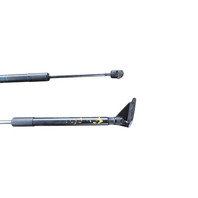 2011-2012 Nissan Leaf Liftgate Trunk Strut/Shock Damper Right/Left Set 90451-3NA0A, F020, OEM, 2011, 2012