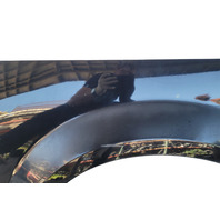 2006-2008 Honda Element Rear Quarter Cladding Right/Passenger Black, 74410-SCV-A20ZB, F022, OEM, 2006, 2007, 2008