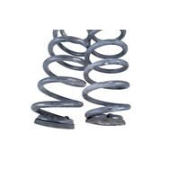 2011-2017 Lexus CT200h Rear Coil Spring Left Right Pair, 48231-76020, F024, OEM, 2011, 2012, 2013, 2014, 2015, 2016, 2017