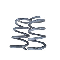 2011-2017 Lexus CT200h Rear Coil Spring Left Right Pair, 48231-76020, F024, OEM, 2011, 2012, 2013, 2014, 2015, 2016, 2017