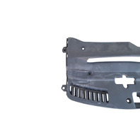 2013-2016 Lexus GS350 Radiator Cover Shield Support Air Intake Duct 53295-30100, F025, OEM, 2013, 2014, 2015, 2016