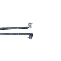 2013-2020 Lexus GS350 Hood Damper Stay Strut Left/Right Set, F025, OEM, 2013, 2014, 2015, 2016, 2017, 2018, 2019, 2020