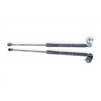 2013-2020 Lexus GS350 Hood Damper Stay Strut Left/Right Set, F025, OEM, 2013, 2014, 2015, 2016, 2017, 2018, 2019, 2020