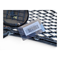 2013-2016 Lexus GS350 Front Grille Grill w/Molding Emblem, 53111-30D90, 90975-02125, F025, OEM, 2013, 2014, 2015, 2016