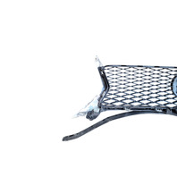 2013-2016 Lexus GS350 Front Grille Grill w/Molding Emblem, 53111-30D90, 90975-02125, F025, OEM, 2013, 2014, 2015, 2016