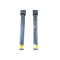 2013-2015 Lexus GS350 Rear Left/Right Strut Shock Absorber Set(2) 48530-80633, F025, OEM, 2013, 2014, 2015