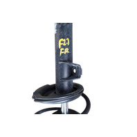2003-2005 BMW Z4 Shock Strut Assembly, Front Right, 31-31-6-761-896, F027, OEM, 2003, 2004, 2005